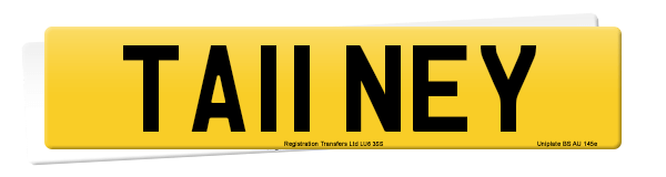 Registration number TA11 NEY